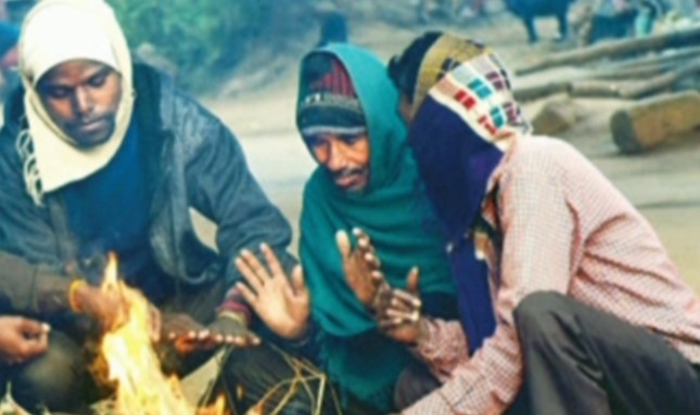শীতে কাঁপছে পাবনা সহ উত্তর অঞ্চল, ঘন কুয়াশায় হারিয়ে গেছে সূর্য